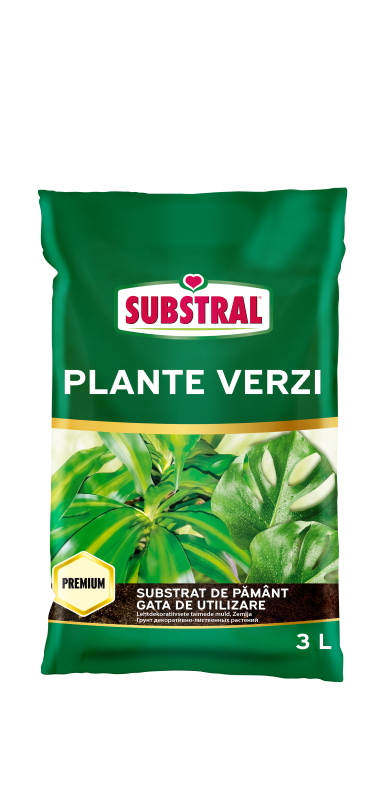 Substrat de Pamant pentru plante verzi Substral 3 L